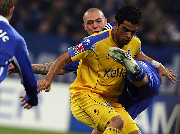 动在国内外 动在国内外